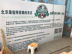 -大自然农场蔬菜草莓采摘园