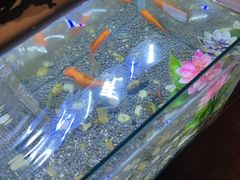 -华夏良子·足道SPA艾灸(王府井店)