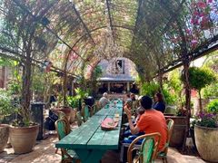 -The Grounds of Alexandria