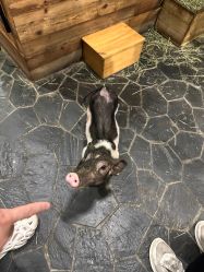 -Zoolung Zoolung动物主题公园(海信广场店)