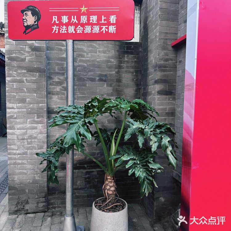 太棒啦 是有信念的咖啡☕️