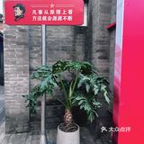 太棒啦 是有信念的咖啡☕️
