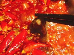 -二荆条·蜀鲜汇城市森林火锅