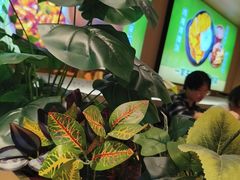 -波波客韩国石锅拌饭(武汉江汉路循礼门店)