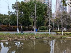 -皇粮浜湿地公园