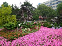 -常州古运河南大街文化旅游区-人民公园