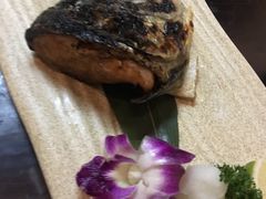 -花狸日本料理(柏庐广场店)