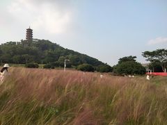 -红花山公园