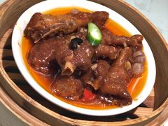 -南枝记