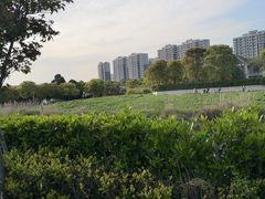 -太湖湖滨国家湿地公园-停车场