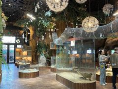 -杭州开元森泊度假乐园