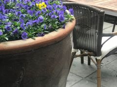 -瓦库茶馆17号(海汇港店)