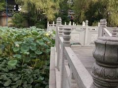 -莲湖公园