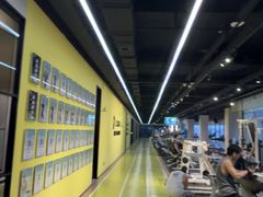 -Liking健身(哈尔滨旗舰店)