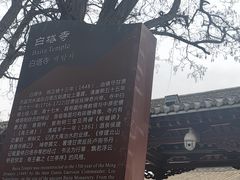 -白塔山公园