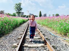 -歌斐颂巧克力小镇