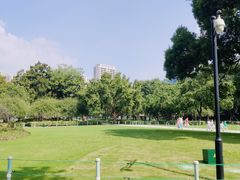 -红梅公园
