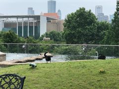 -南京圣和府邸豪华精选酒店