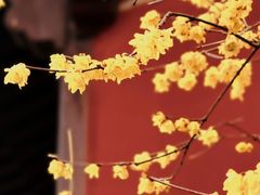 -钱王祠