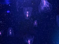 -欢乐海岸海洋奇梦馆