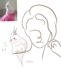 -爱秀造型 T-G