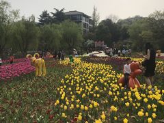 -白马涧龙池景区