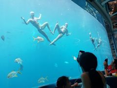 -瑞德姆美人鱼海底演艺主题餐厅(亚龙湾店)