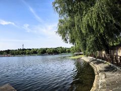 -长春市南湖公园