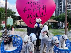 -大象营野Life营地·钓虾(坦尾店)