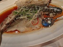 -上海小南国(不夜城店)