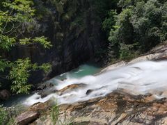 -广州白江湖森林公园