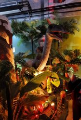 -恐龙探索乐园(磁器口店)