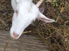 -杭州师范大学(下沙校区)