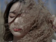 -蒲河岛湿地公园