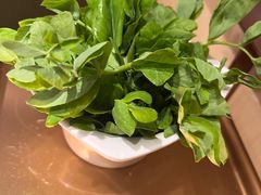 -海底捞火锅(攀枝花万达店)