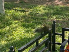 -大兴滨河森林公园