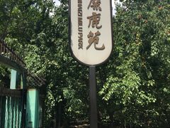 -北京麋鹿生态实验中心