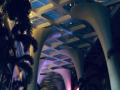 -三亚湾红树林度假世界(木棉酒店)