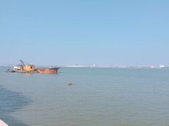 -大湾区中央湿地公园-十九涌