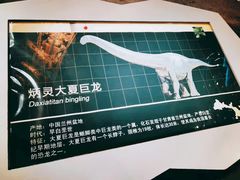 -安徽省地质博物馆