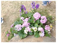 -人民公园(罗湖区)