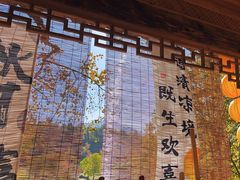 -塔川景区