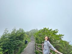 -大围山国家森林公园
