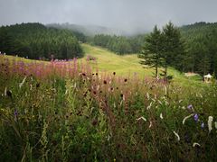 -驼梁风景区