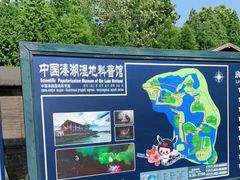 -溱湖国家湿地公园