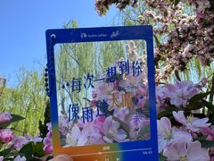 -南翠屏公园