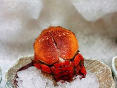 -雍容荟活帝王蟹活龙虾自助(苏宁旗舰店)