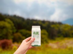 -华蓥山天意谷景区