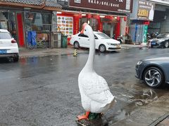 -巢湖名吃·东关老鹅汤(江南风情街店)