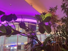 -桂满陇·蟹黄小笼汤包(清河万象店)